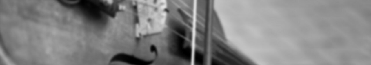 violin